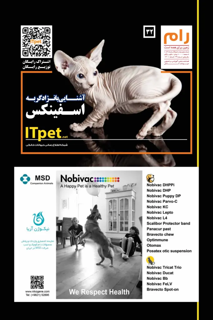 ITpet-RAAM-32-web_page-0001