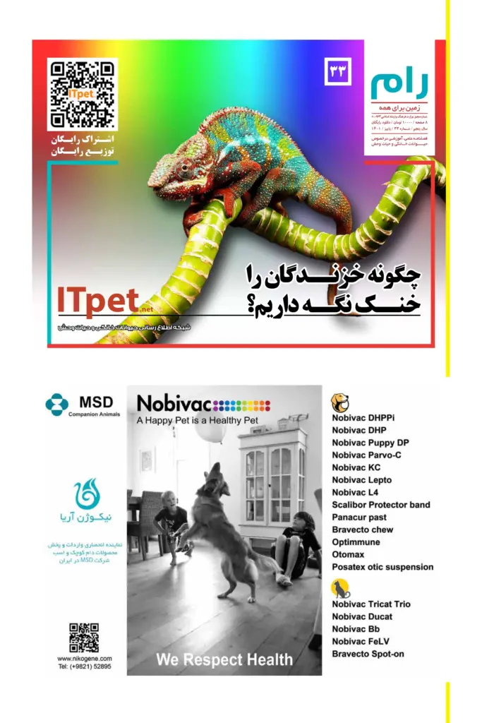 ITpet-RAAM-33-web.pdf_1_page-0001