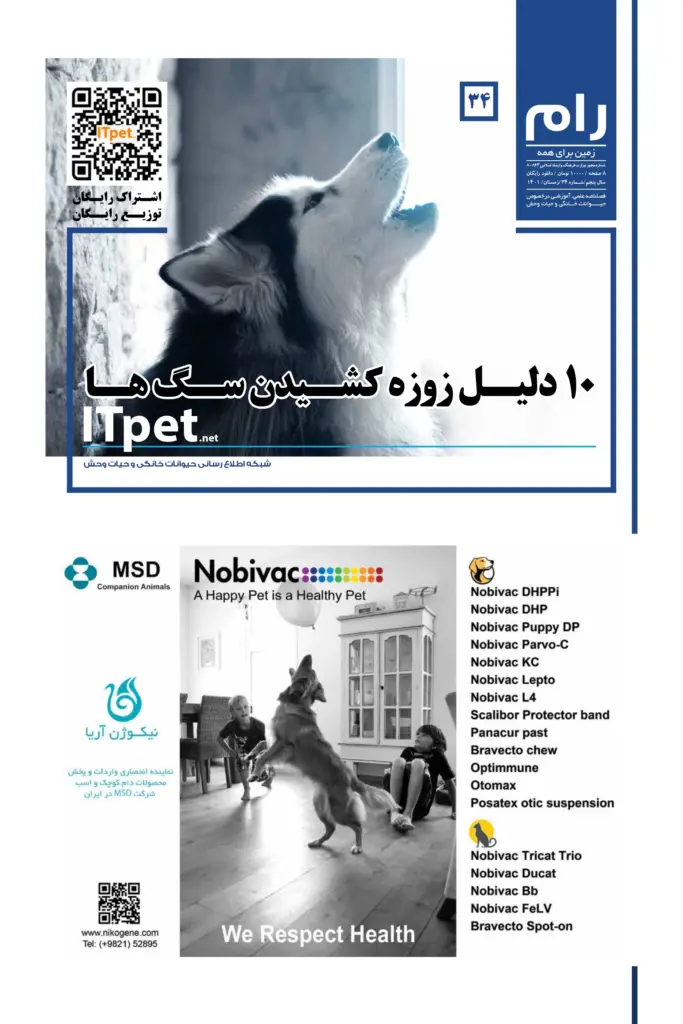 ITpet Net is an electronic information network about pets