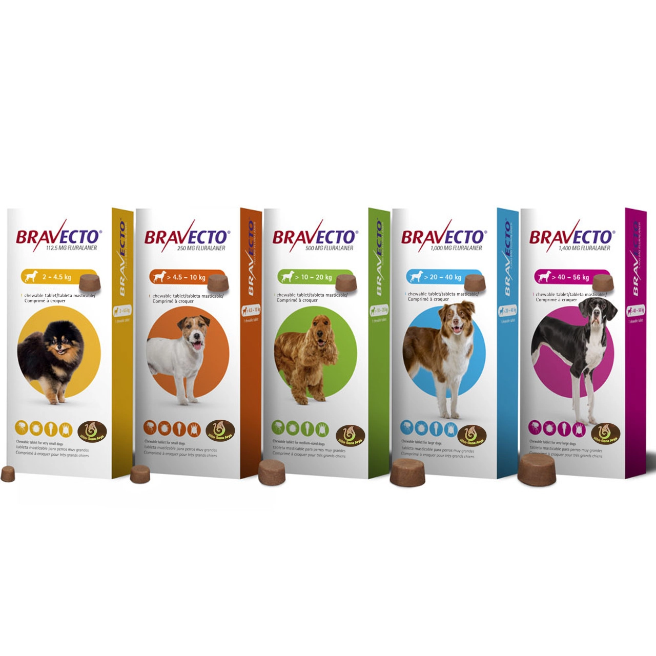 BRAVECTO Chewable Tablets for Dogs Niko Gene Arya