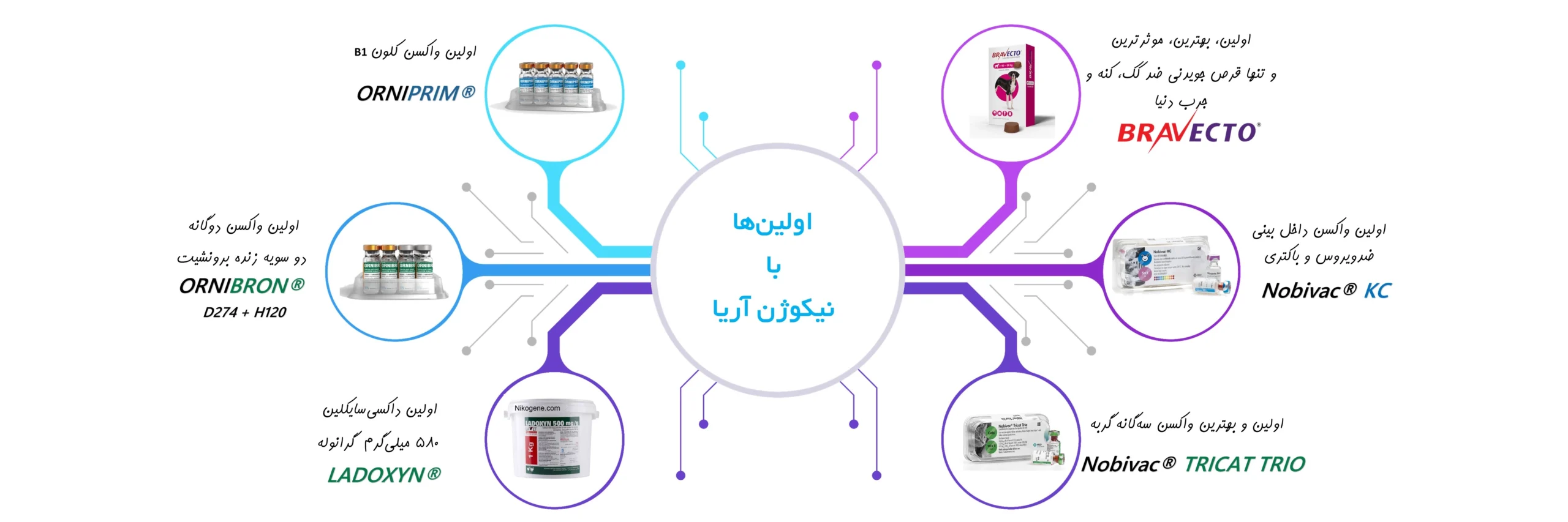 اولین ها در نیکو ژن آریا