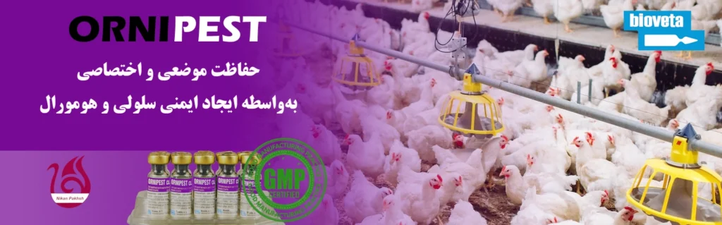 اورنی پست واکسن کلون لاسوتا