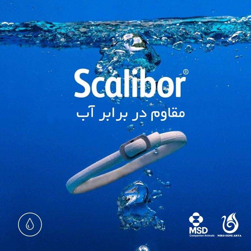 scalibor