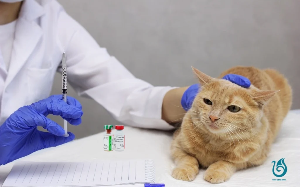 how-much-does-cat-vaccination