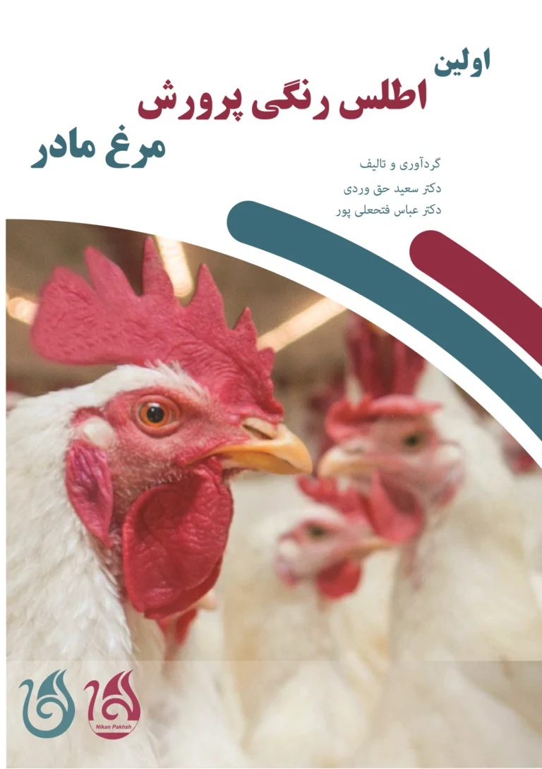 کتاب اطلس رنگی پرورش مرغ مادر